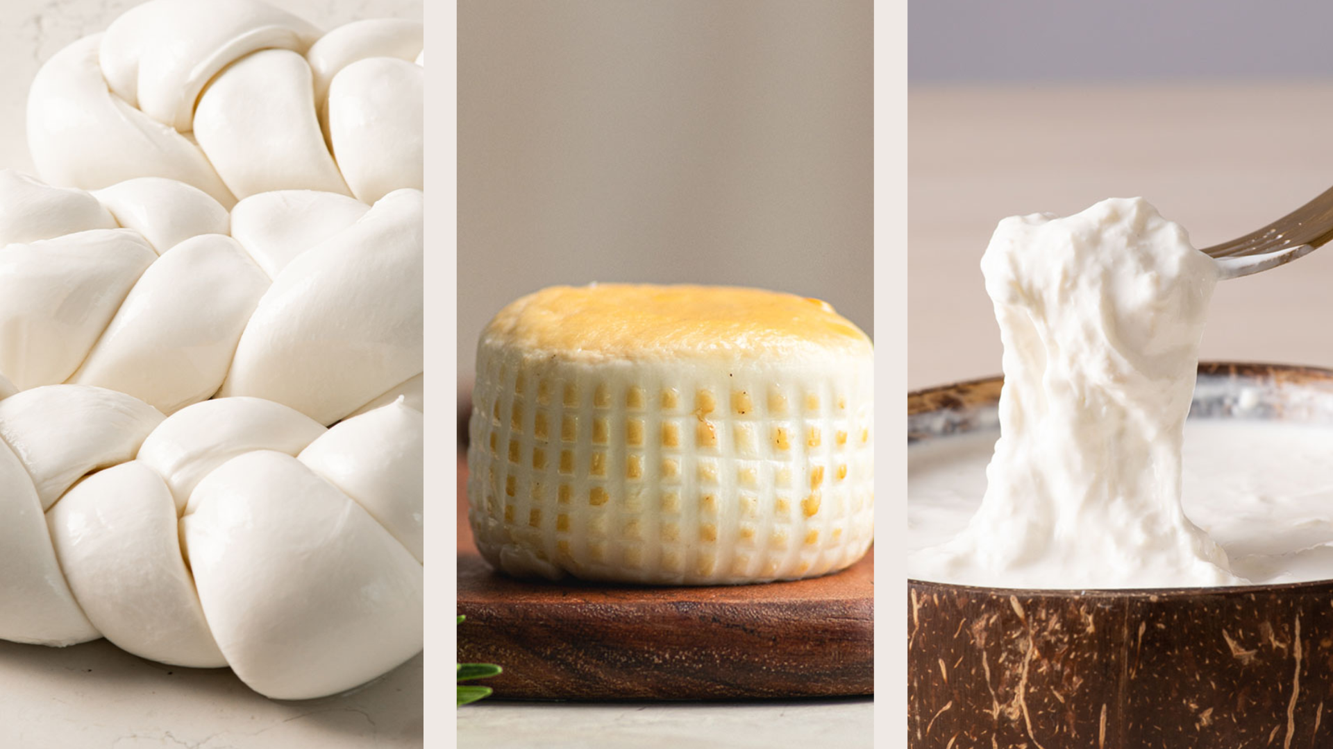 Caseation Cheese Caseificio Artigiana: Authentic Italian Cheeses